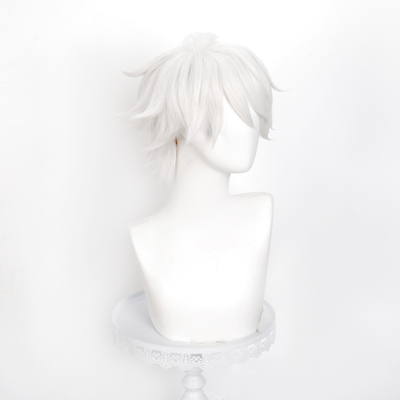 Peluca de cosplay de Anime Wit - Men Accessories Silver reseña y precio