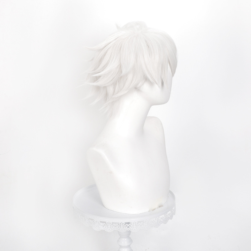 Peluca de cosplay de Anime Wit - Men Accessories Silver reseña y precio